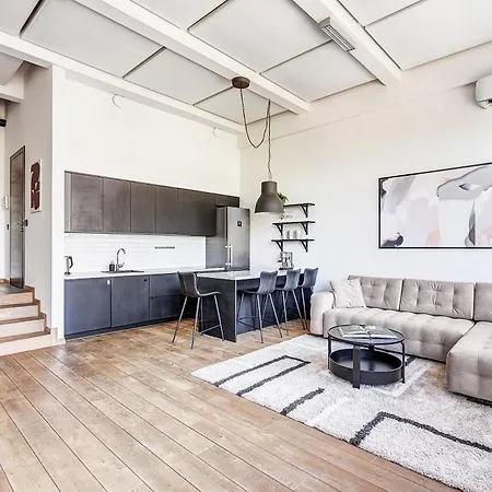 Appartement Spacious Loft 6 Guests - Ac, 54